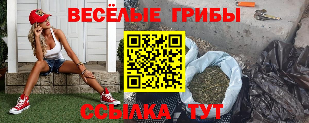 Миллерово  Псилоцибиновые грибы Psilocybine cubensis  Вход с VPN 