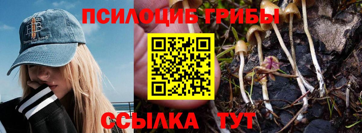 Псилоцибиновые грибы Magic Shrooms Миллерово